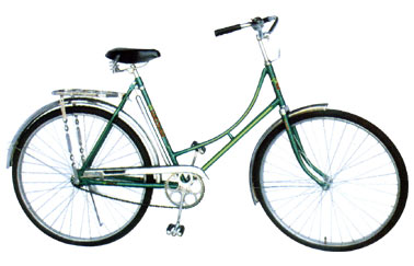 RR-BIKE-5 Explorer-12" Girls